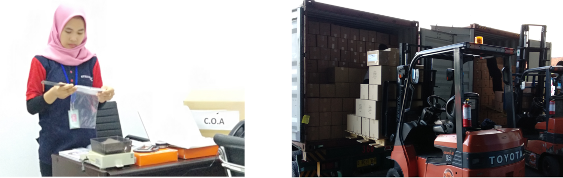 Stellarway Indonesia